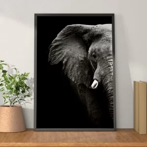 xx_quadro-decorativo-elefante-africano-0626d3c02a8829b2f3303dcbf375d121.webp