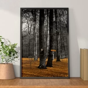 xx_quadro-decorativo-floresta-negra-2794e1c11d70211ce504214a1a2fe992.webp