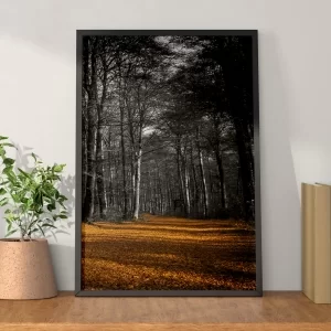 xx_quadro-decorativo-floresta-negra-2-c32ffba00c2ca58a6c2aadab941e2316.webp