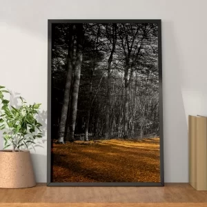 xx_quadro-decorativo-floresta-negra-3-dba5e7ef1a248e48ead2d9845344237d.webp